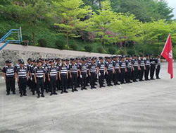 樂從執(zhí)法隊